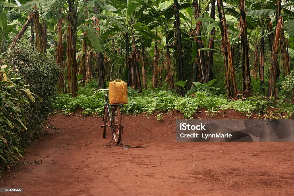 Santé et nutrition